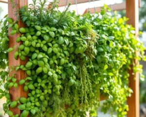 ¿Cómo crear un jardín vertical con hierbas aromáticas?