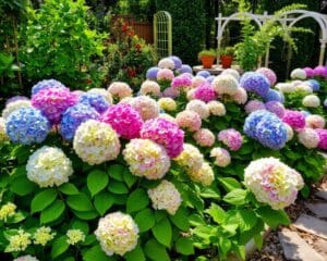 ¿Cómo decorar tu jardín con hortensias?