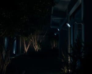 ¿Qué cámara usar para vigilar el jardín de noche?