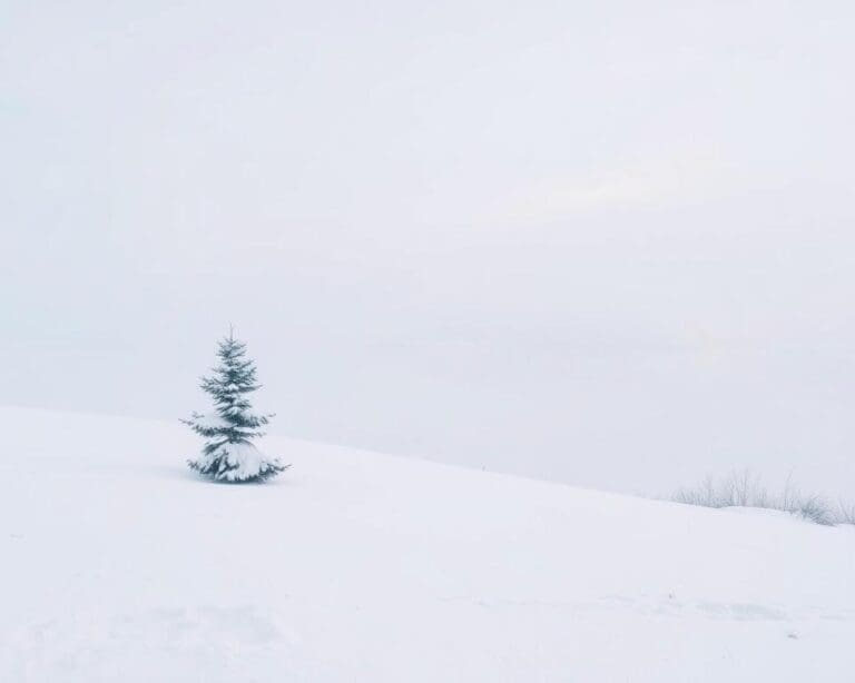 ¿Quién quiere más calma en temporadas frías?